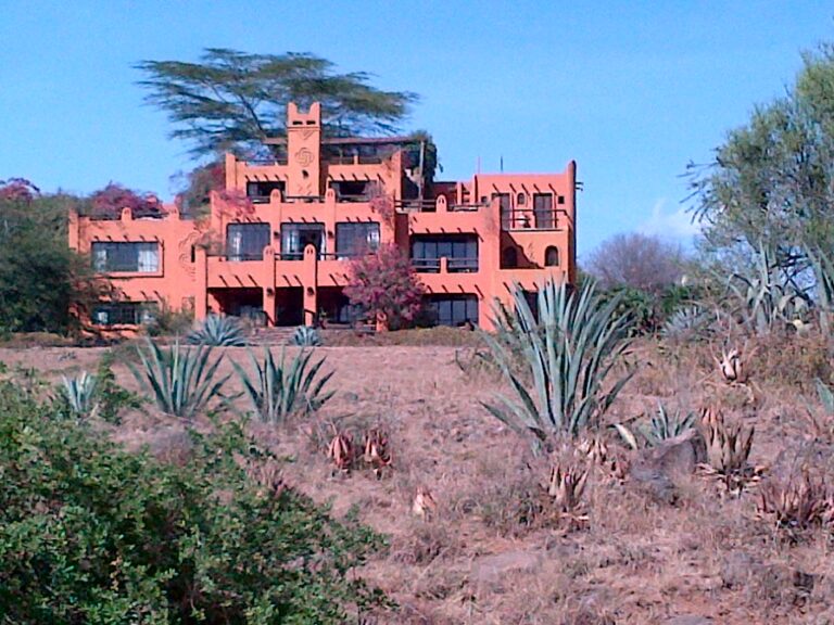 Alan Donovan's African Heritage