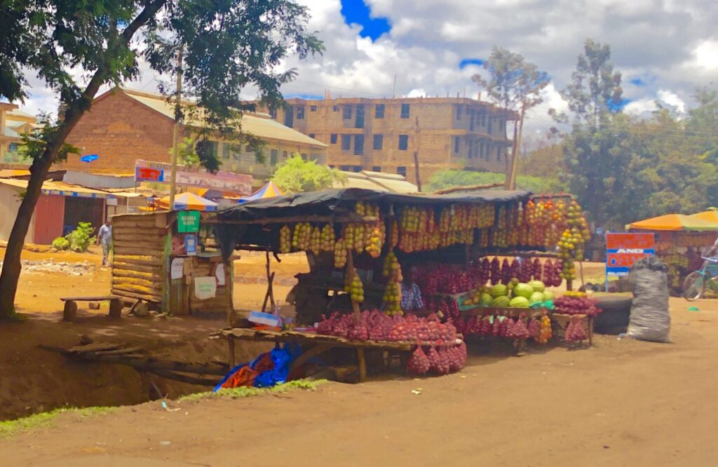 Sultan Hamud - shop along the road