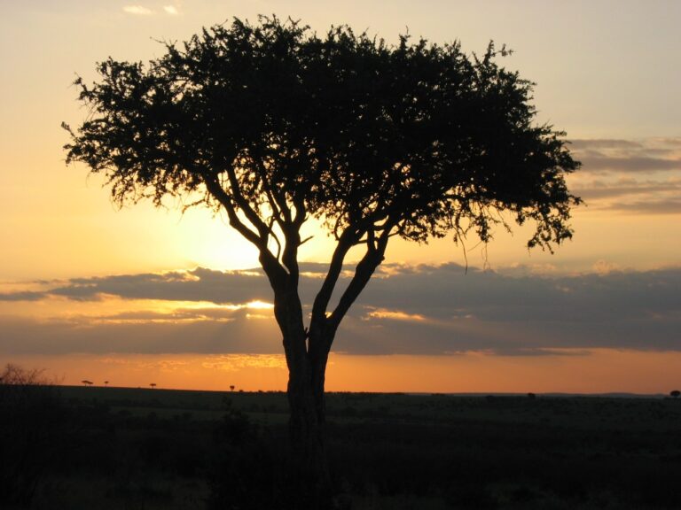 For once, Africa has an image advantage