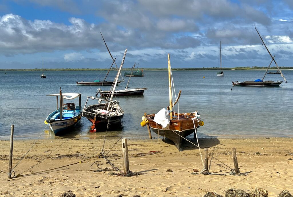 Lamu Shela Boats on the Beach 2