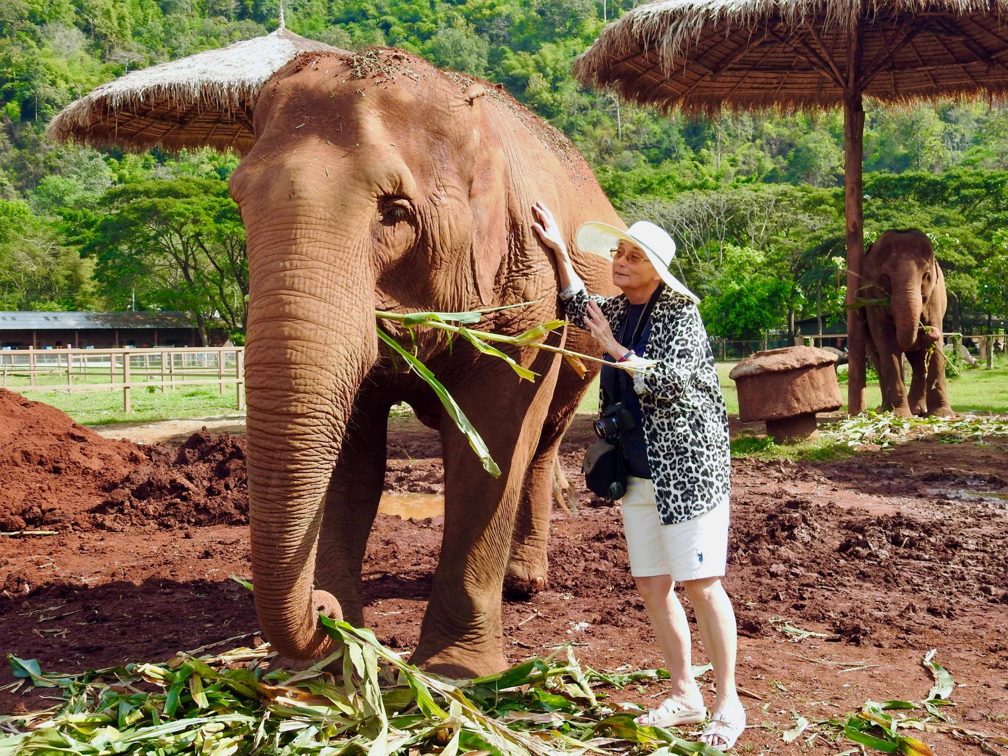 Ranveig Wormstrand - Chiang Mai Elephant Home, Thailand, in 2019